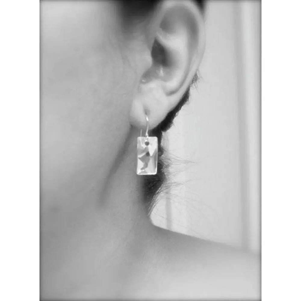 Clear Crystal Pendular Earrings LoveYourBling