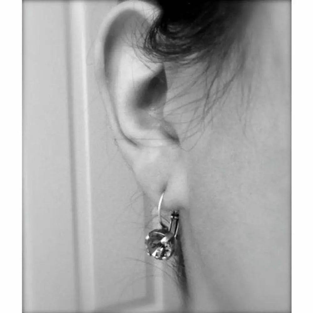Burgundy Crystal Lever back Earrings LoveYourBling