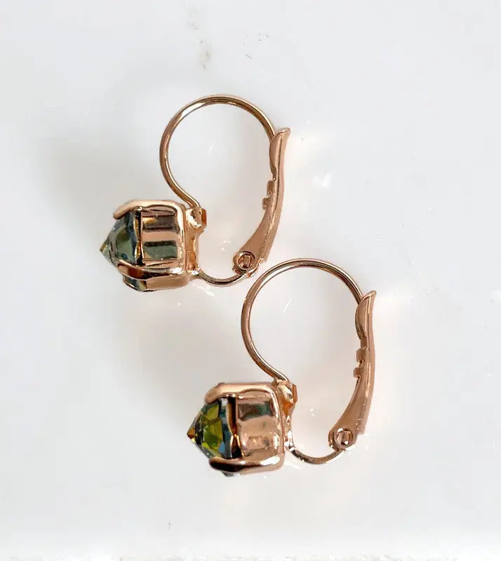 Dark Rainbow Lever back Earrings LoveYourBling