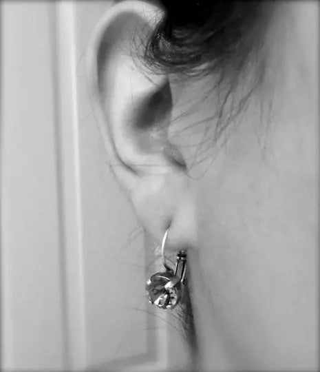 Dark Rainbow Lever back Earrings LoveYourBling