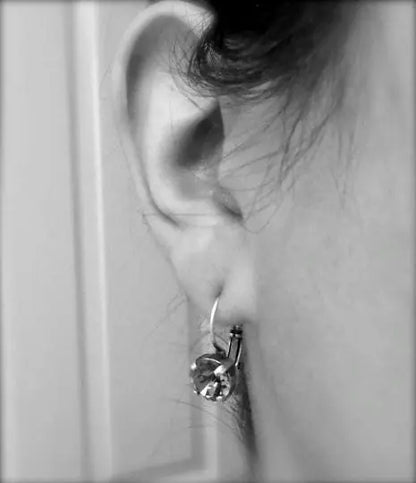 Dark Rainbow Lever back Earrings LoveYourBling