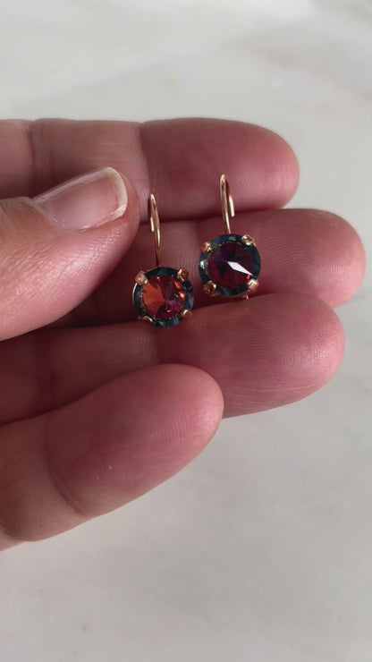 Dark Rainbow Lever back Earrings
