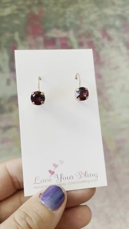 Burgundy Crystal Lever back Earrings